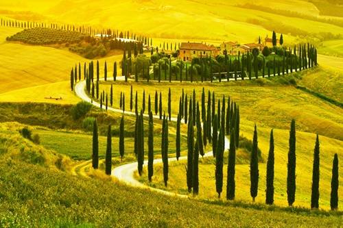 Cheap TEFL certification for teaching English in Italy